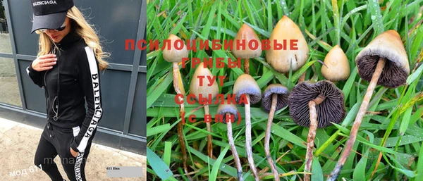 гидра Верхнеуральск