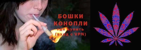 PSILOCYBIN Михайловск
