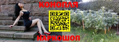 дживик Будённовск