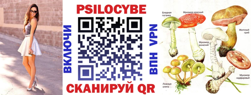 Псилоцибиновые грибы Psilocybe  гидра ссылка  Выкса 