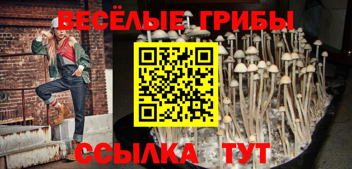 Галлюциногенные грибы Cubensis  что такое наркотик  Выкса 