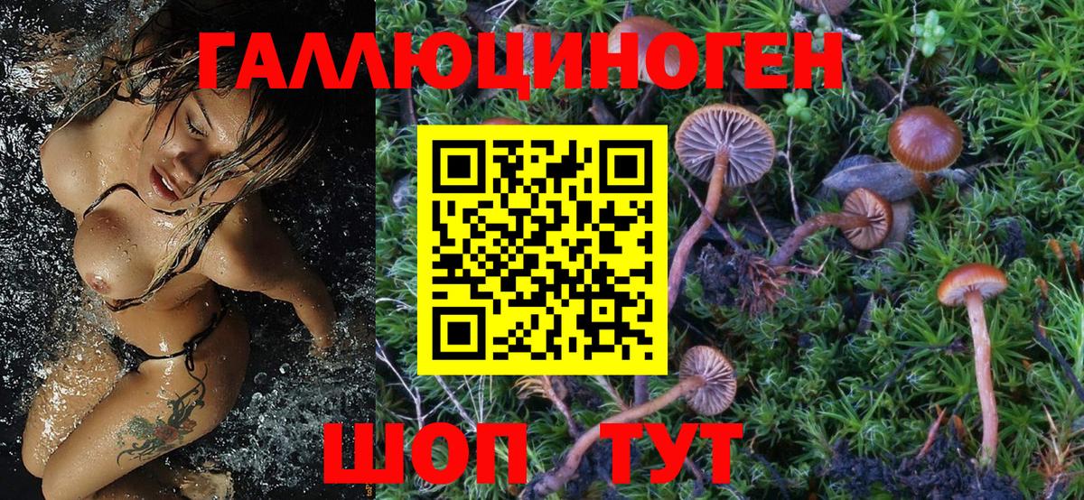Псилоцибиновые грибы Psilocybe Выкса