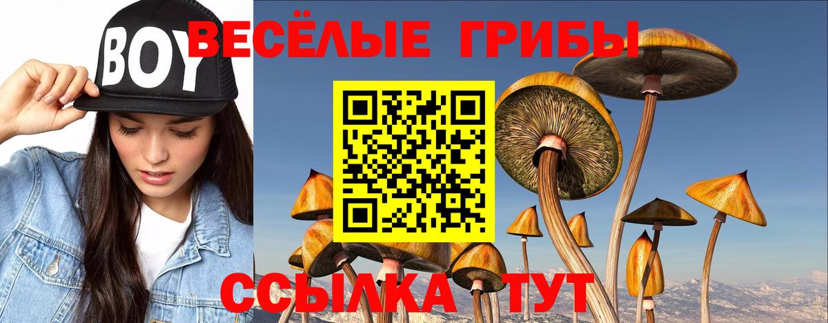 Меф  Кокаин  Гашиш  Бошки Шишки  Выкса  Меф   ГАШИШ  Вход с VPN  НБОМе 