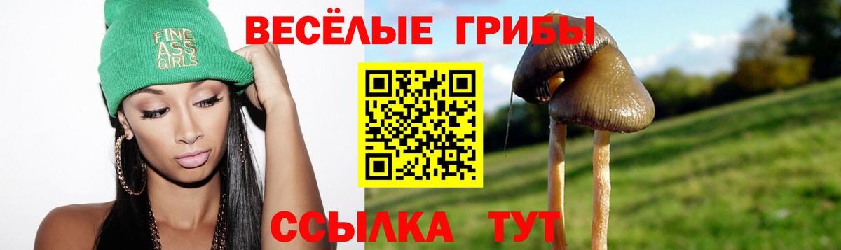 Псилоцибиновые грибы GOLDEN TEACHER Выкса