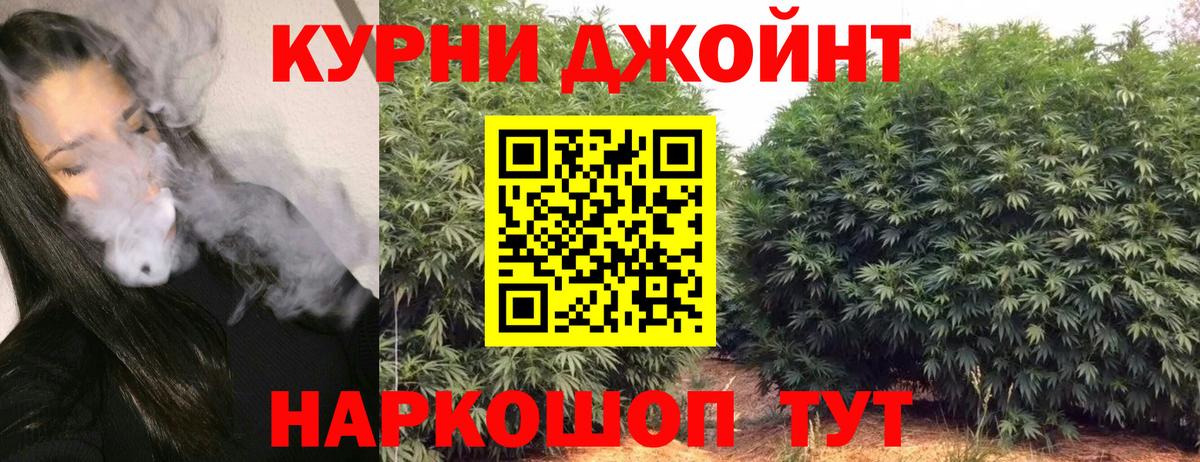 Канабис MAZAR  Канабис OG Kush  Выкса 